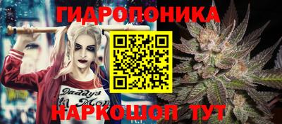 мяу мяу мука Гусь-Хрустальный